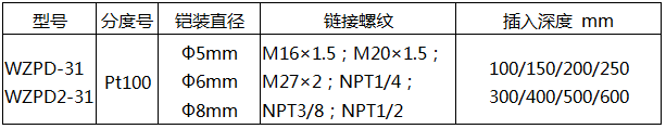 軸承熱電阻WZPD-31技術(shù)參數(shù) 軸承熱電阻WZPD-31技術(shù)參數(shù)