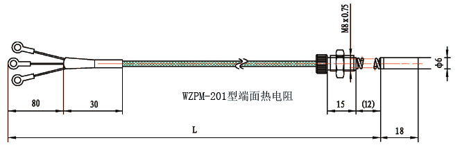 WZPM-201端面鉑電阻結(jié)構(gòu)示意圖 WZPM-201端面鉑電阻結(jié)構(gòu)示意圖